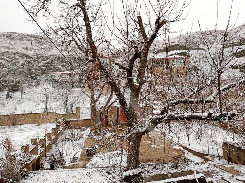 عکس شماره 616144 - اقامتگاه بومگردی آوردگاه - 