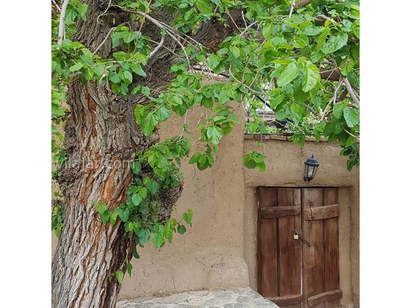 عکس شماره 616150 - اقامتگاه بومگردی آوردگاه - 