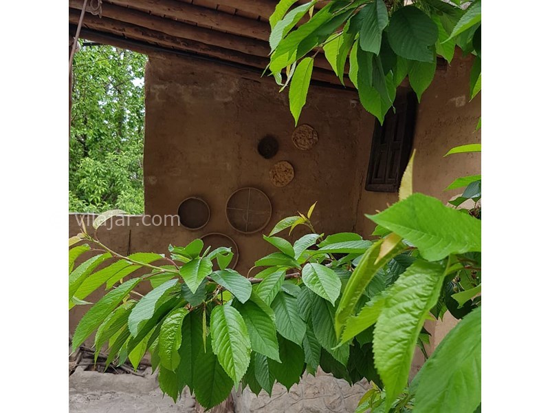 عکس شماره 616151 - اقامتگاه بومگردی آوردگاه - 