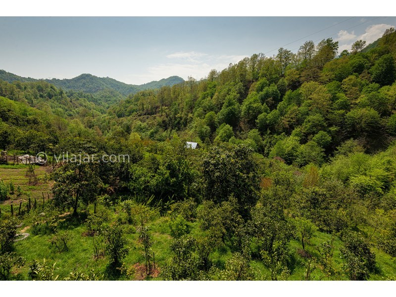 عکس شماره 616289 - اجاره ویلا چوبی جنگلی در رامسر - 