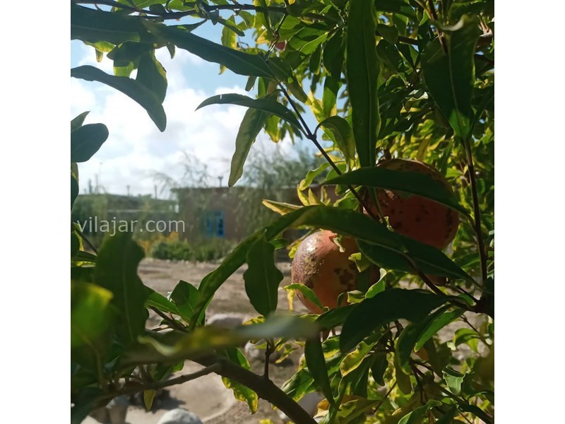 عکس شماره 616471 - اقامتگاه بومگردی ترکمن اولکام -