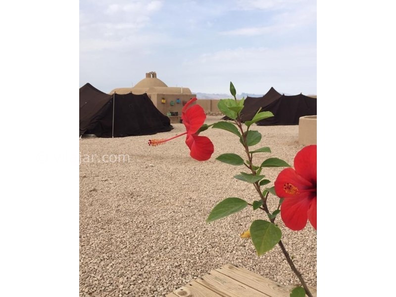 عکس شماره 616509 - اقامتگاه عشایری دیکاکو - 