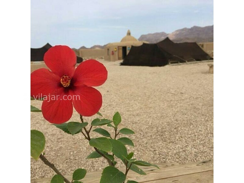 عکس شماره 616520 - اقامتگاه عشایری دیکاکو - 