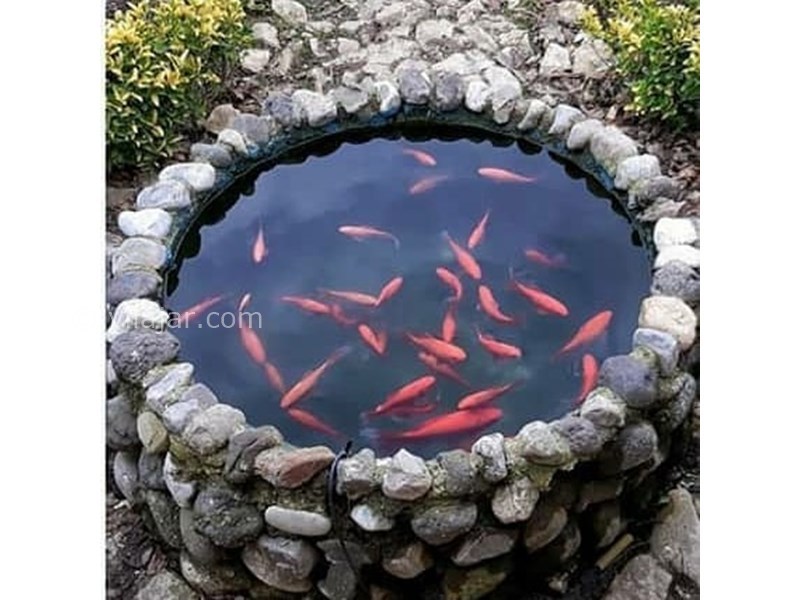 عکس شماره 616790 - اقامتگاه بومگردی خوشقدم -