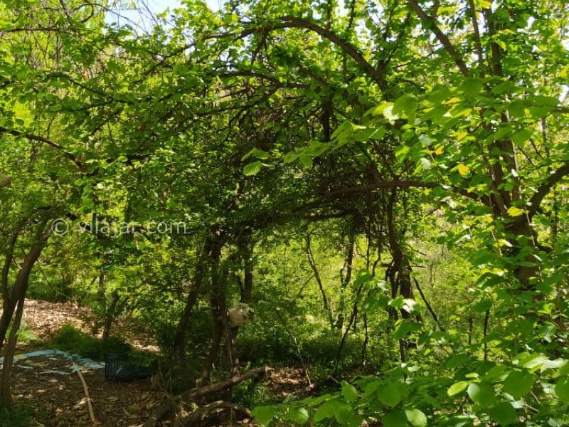 عکس شماره 616904 - اجاره ویلا باغ نزدیک شاندیز مشهد - 