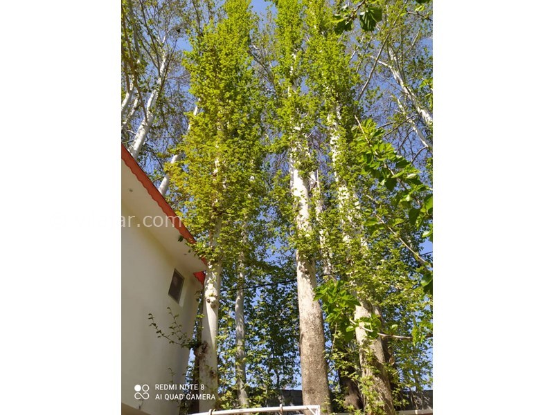 عکس شماره 616905 - اجاره ویلا باغ نزدیک شاندیز مشهد - 