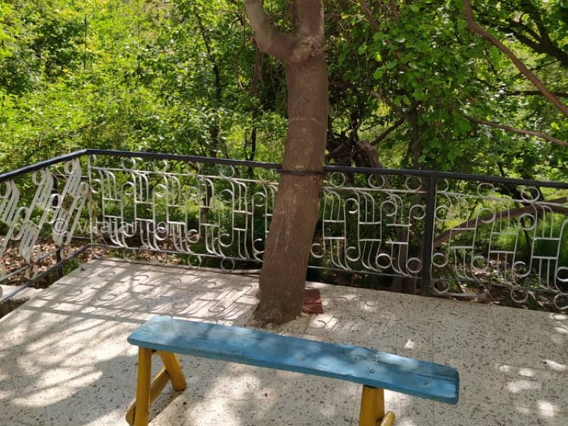 عکس شماره 616906 - اجاره ویلا باغ نزدیک شاندیز مشهد - 