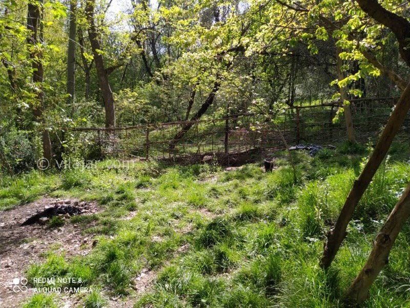 عکس شماره 616909 - اجاره ویلا باغ نزدیک شاندیز مشهد - 