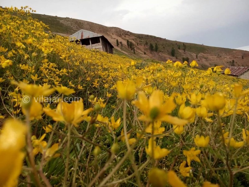 عکس شماره 616976 - کلبه اجاره ای پدر خال اسپیت -