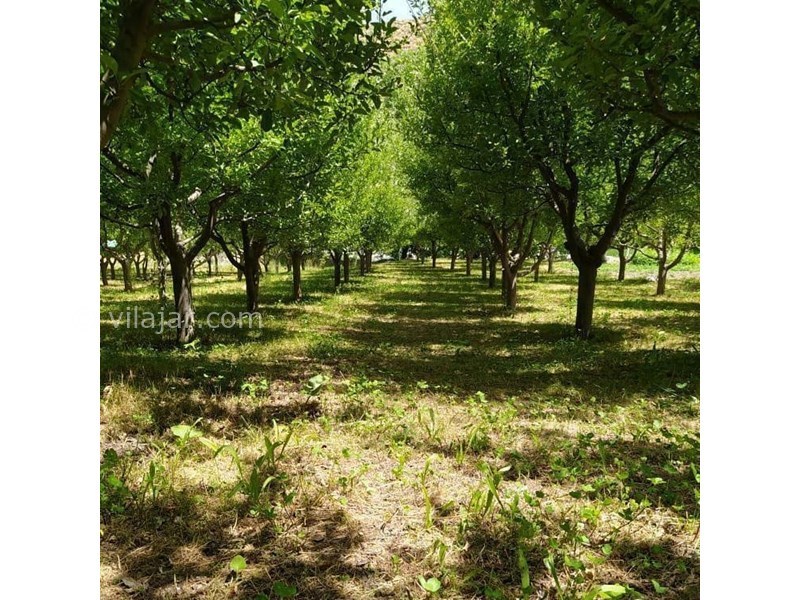 عکس شماره 617077 - اقامتگاه بومگردی عمو پرویز -