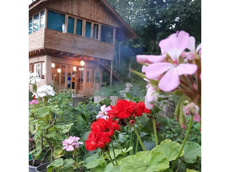 عکس شماره 617108 - اقامتگاه بومگردی کلبه چوبی -