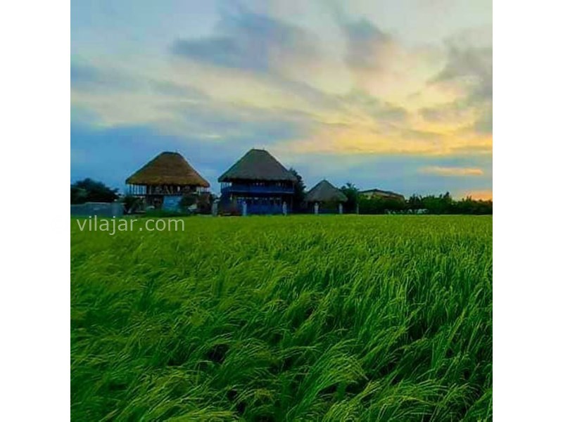 عکس شماره 617536 - اقامتگاه بومگردی الاسوسو - 