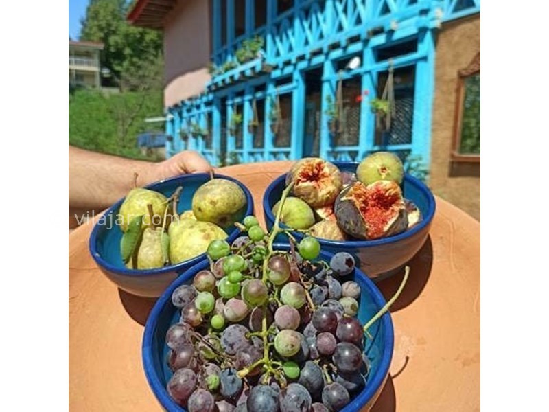 عکس شماره 617776 - اقامتگاه بومگردی ماه نشین -