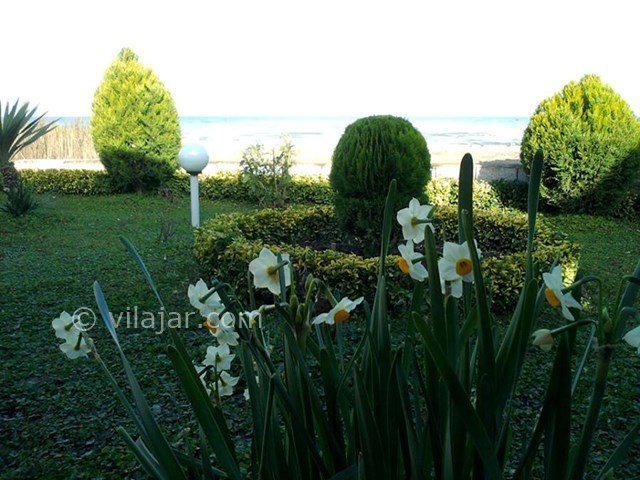 عکس شماره 6185 - اجاره ویلای ساحلی در نور - 