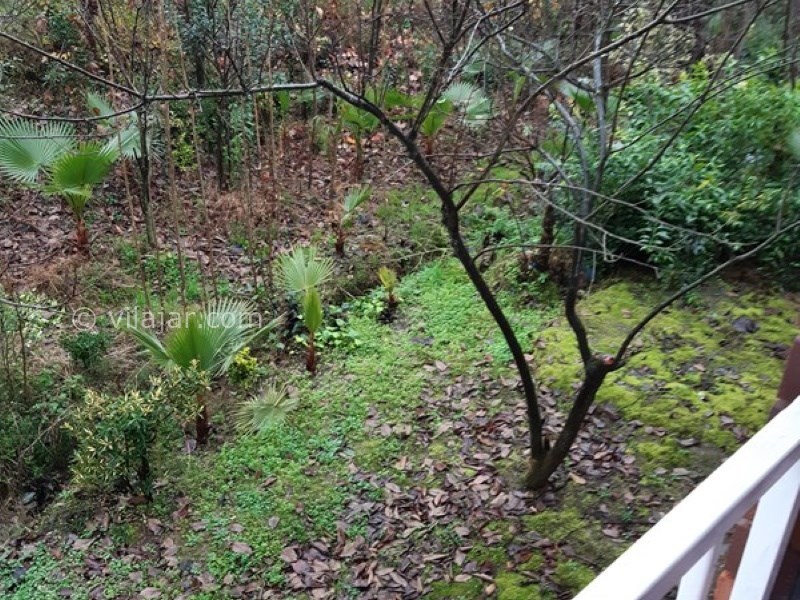 عکس شماره 618608 - اجاره ویلا در تنکابن نزدیک جنگل - 