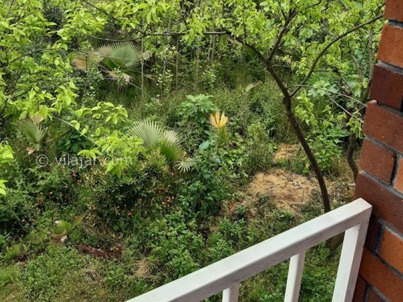 عکس شماره 618609 - اجاره ویلا در تنکابن نزدیک جنگل - 