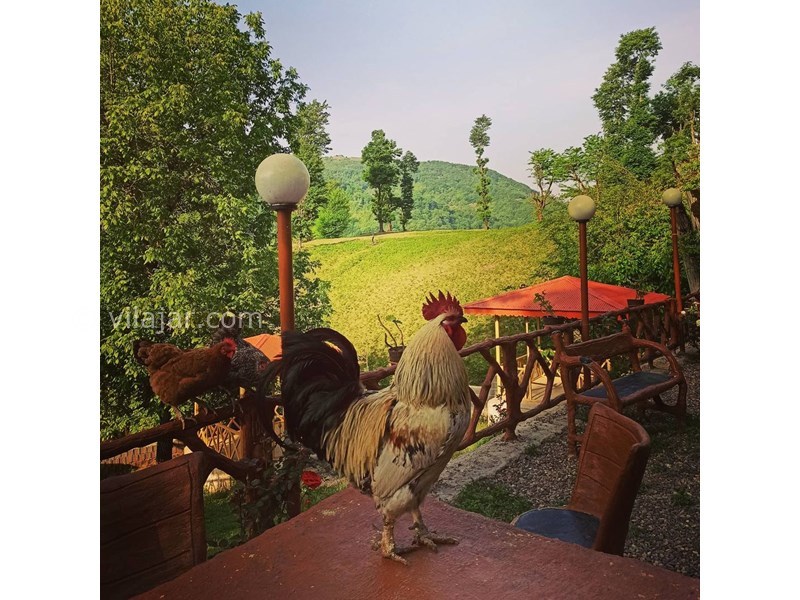 عکس شماره 618697 - اقامتگاه بومگردی ماه نشین -