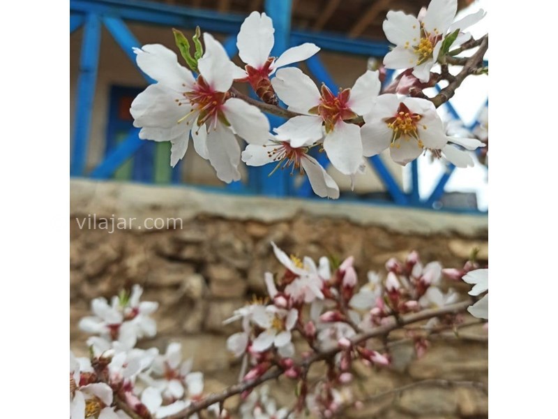 عکس شماره 618936 - اقامتگاه بومگردی باران -