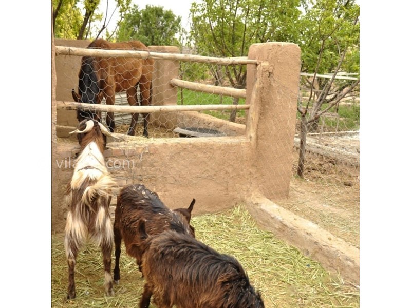 عکس شماره 619412 - اقامتگاه بومگردی شیخ حسن جوری -