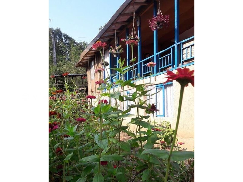 عکس شماره 619458 - اقامتگاه بومگردی باران -