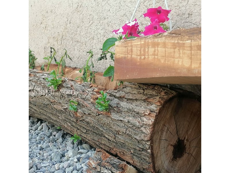 عکس شماره 619689 - اقامتگاه بومگردی هامپوئیل - 