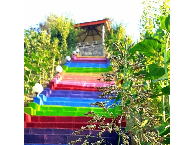 عکس شماره 619697 - اقامتگاه بومگردی قودنه -