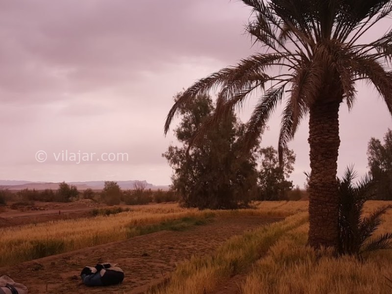 عکس شماره 619961 - اقامتگاه بوم گردی ناصریه - 