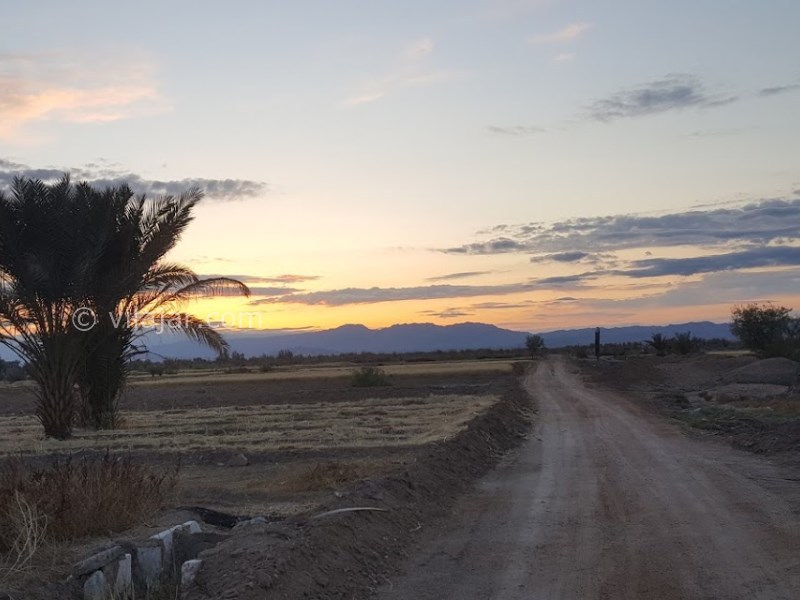 عکس شماره 619962 - اقامتگاه بوم گردی ناصریه - 