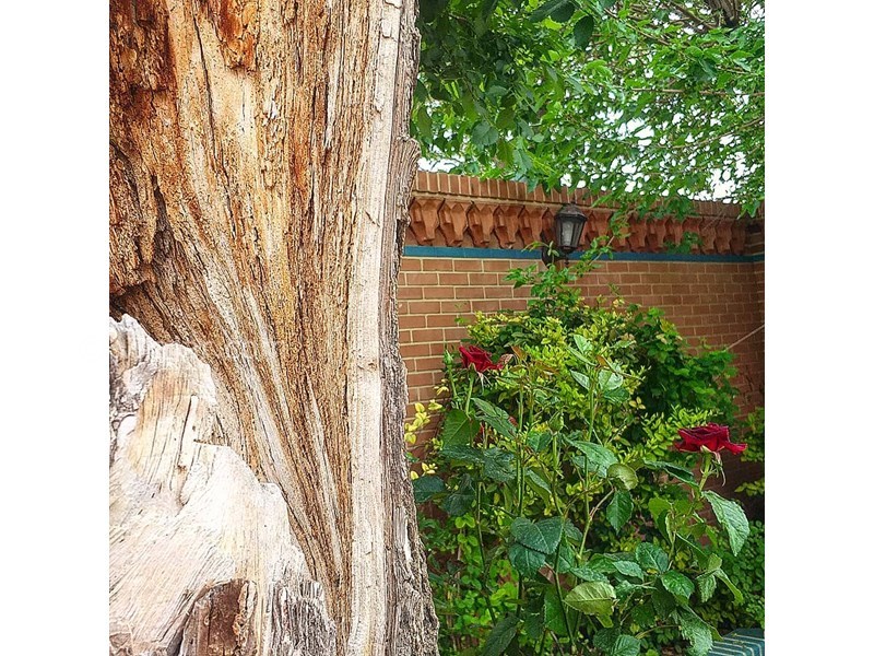 عکس شماره 619999 - اقامتگاه بومگردی خانه رویایی - 