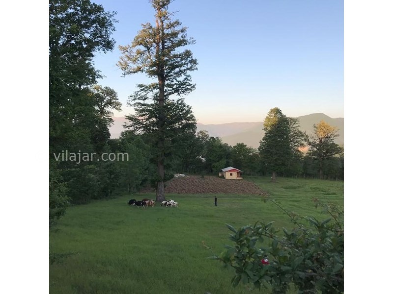 عکس شماره 620065 - اقامتگاه بومگردی شوکا - 