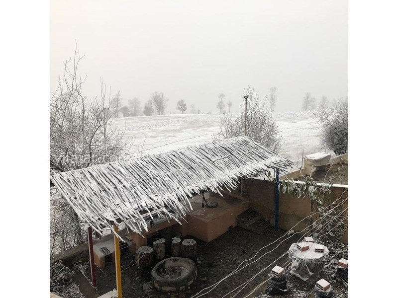 عکس شماره 620068 - اقامتگاه بومگردی شوکا - 