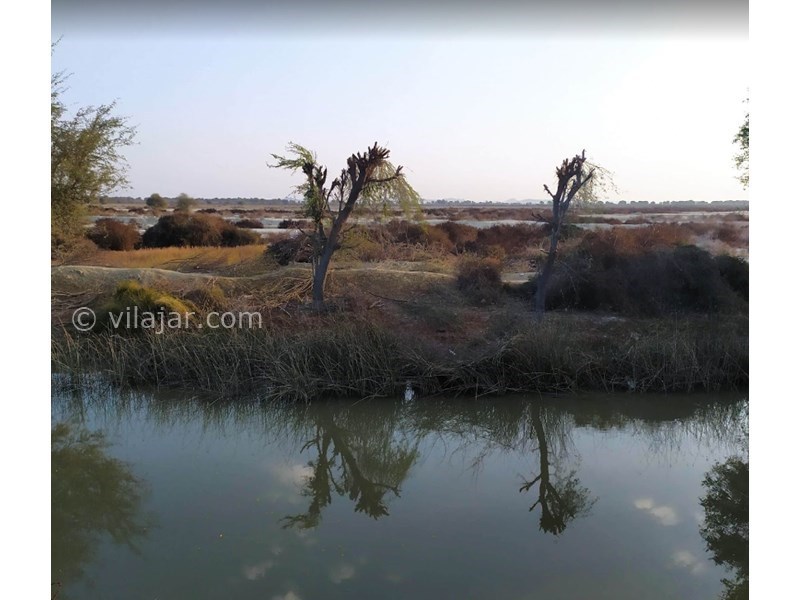 عکس شماره 620227 - اقامتگاه بومگردی ترانگ - 