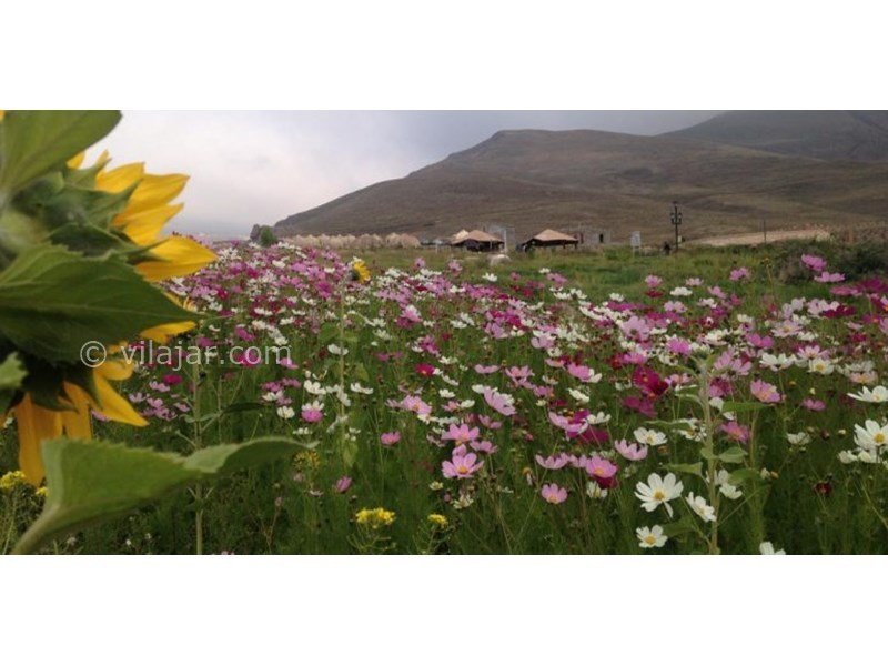 عکس شماره 620248 - اکو کمپ عشایری ملک سویی - 