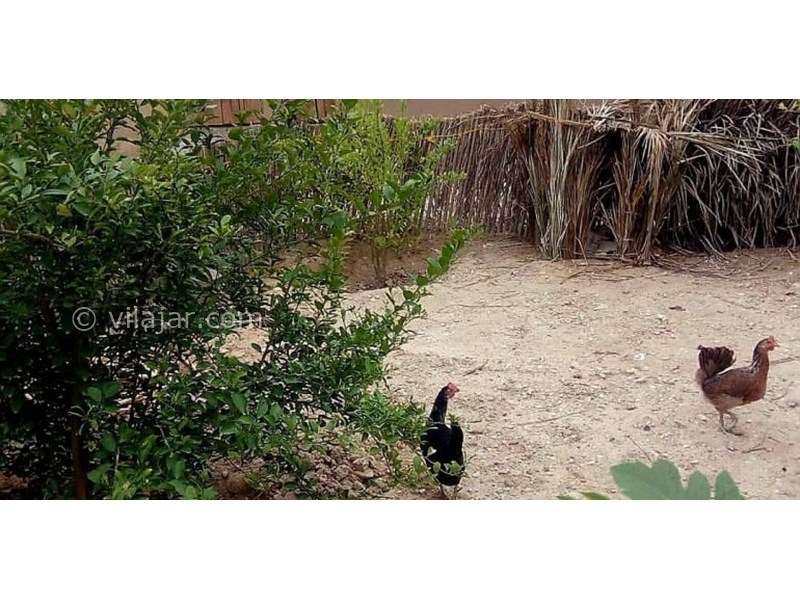 عکس شماره 620560 - اقامتگاه بومگردی به نشین نگین سبز - 