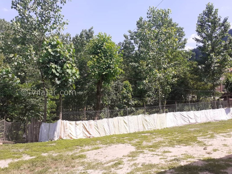 عکس شماره 620701 - اجاره ویلا در سیاهدول ماسال - 