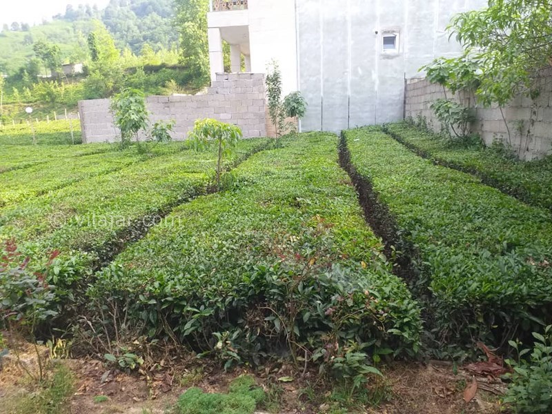 عکس شماره 620958 - اجاره ویلا در قلعه رودخان فوشه - 