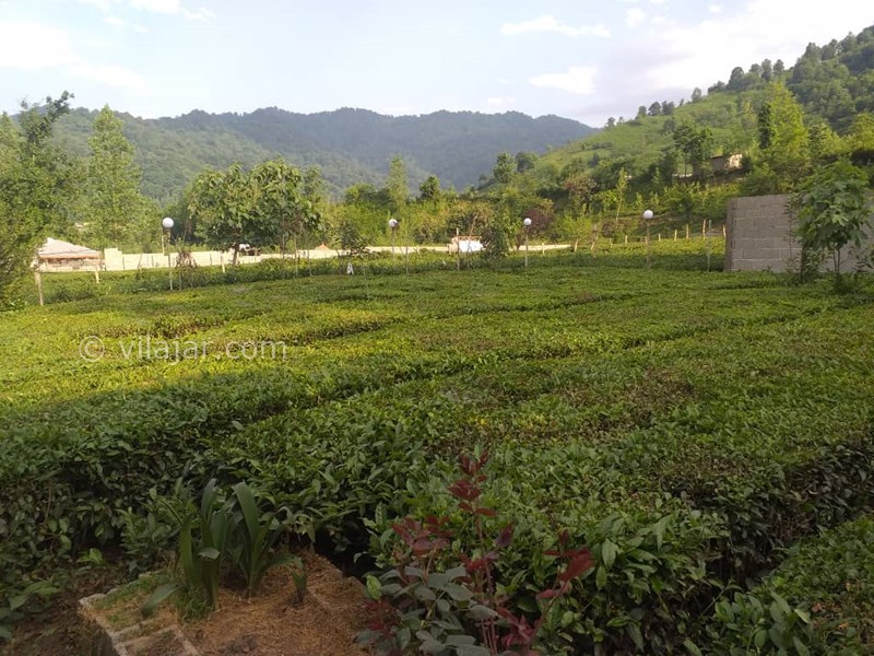 عکس شماره 620959 - اجاره ویلا در قلعه رودخان فوشه - 