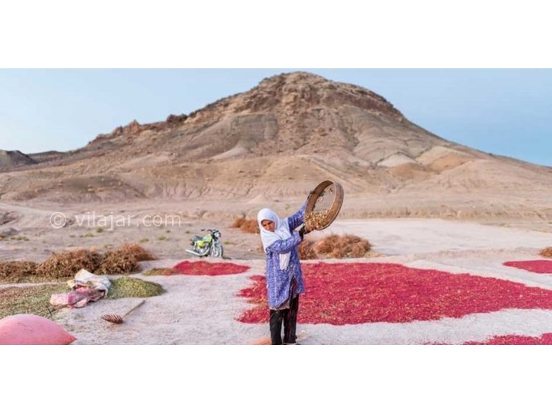 عکس شماره 621372 - اجاره اقامتگاه بوم گردی زرشکده - 