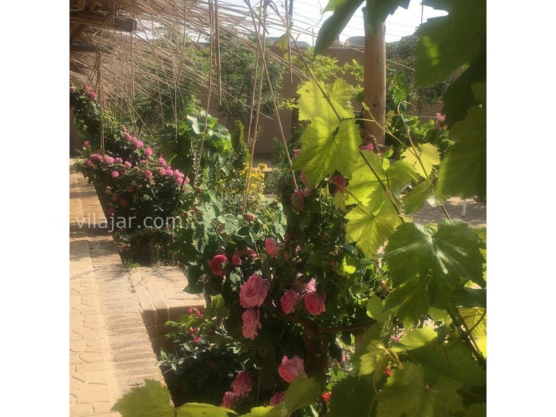 عکس شماره 621418 - اقامتگاه بوم گردی مش رضا - 