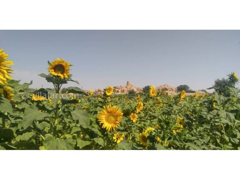 عکس شماره 621437 - اقامتگاه بوم گردی چپیله - 