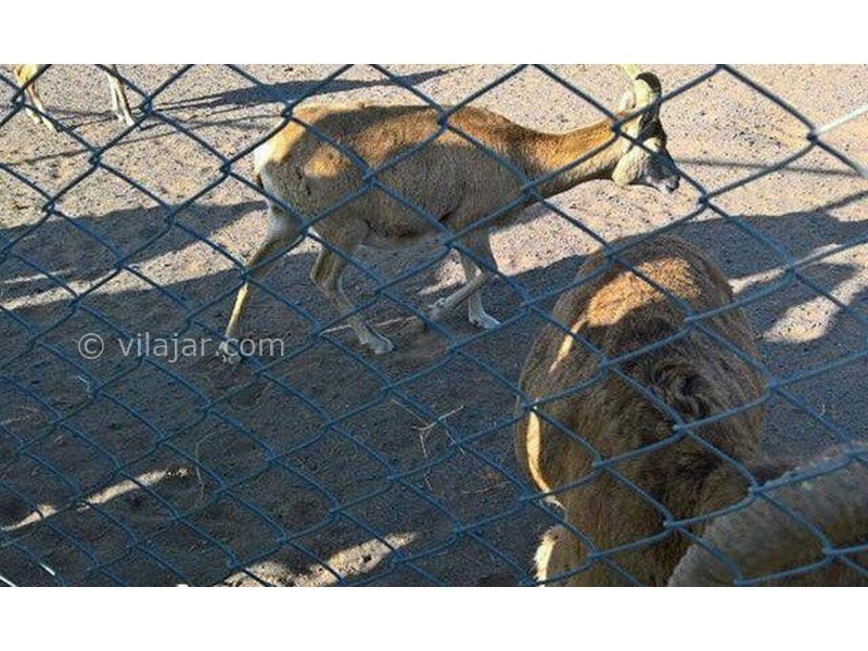 عکس شماره 621601 - اقامتگاه بوم گردی مظفری - 