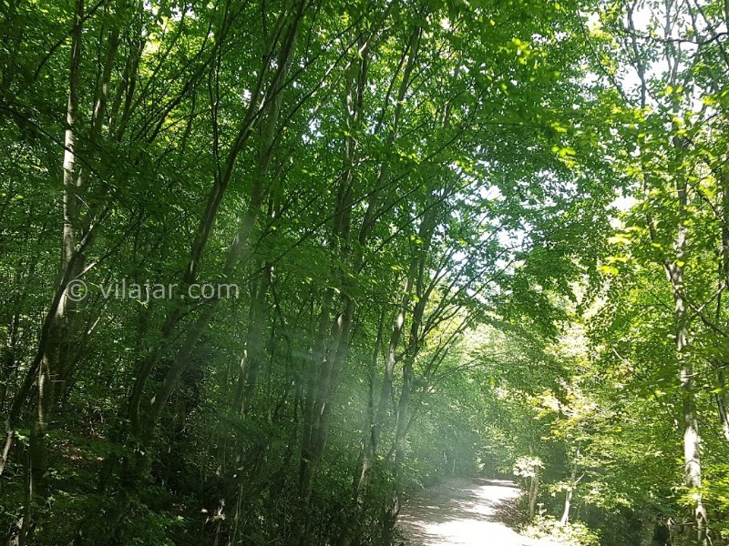 عکس شماره 621626 - مجتمع اقامتی فلامک - 