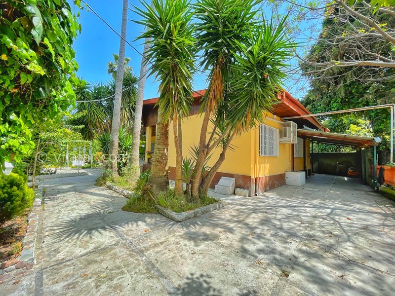 عکس شماره 621638 - اجاره ویلا در نوشهر با استخر - 