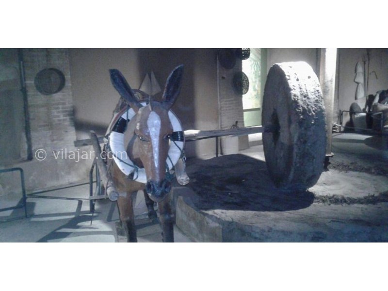 عکس شماره 621804 - اقامتگاه بوم گردی تهمینه - 