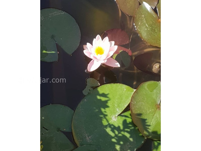 عکس شماره 622028 - اقامتگاه بوم گردی ارگ رادکان -