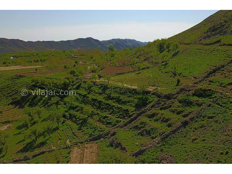 عکس شماره 622064 - اقامتگاه بوم گردی درجه - 