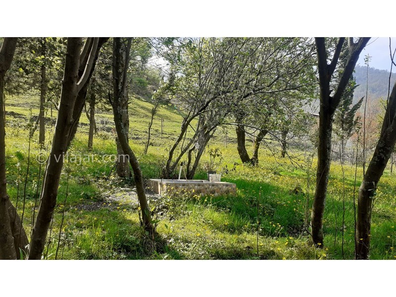 عکس شماره 622188 - اجاره ویلا در دل جنگل ماسال - 