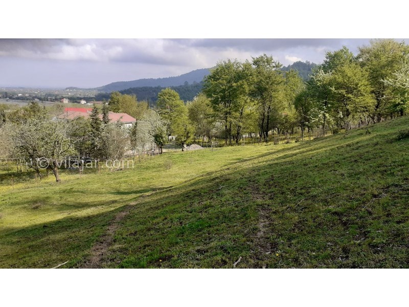 عکس شماره 622189 - اجاره ویلا در دل جنگل ماسال - 