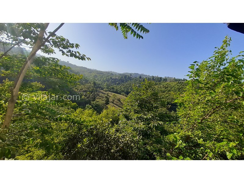 عکس شماره 622214 - اجاره ویلای جنگلی در رامسر - ویو شرقی