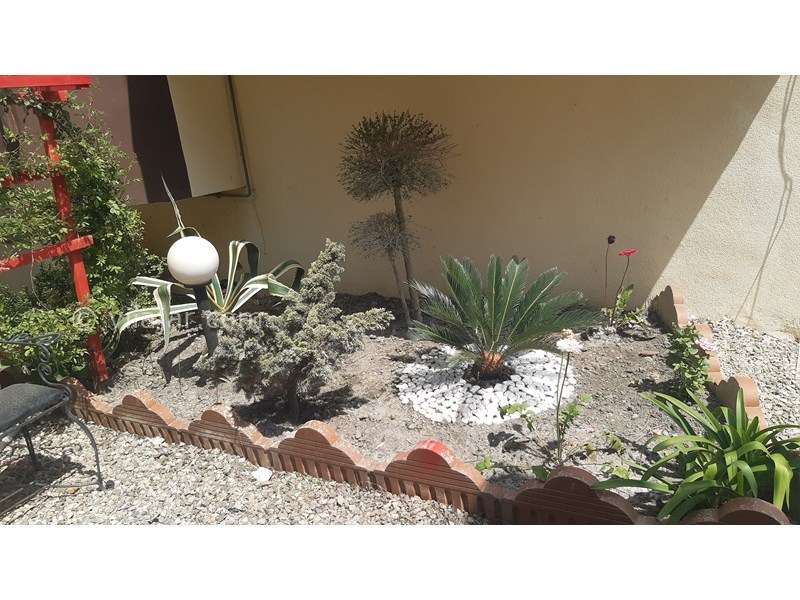 عکس شماره 622228 - اجاره ویلای جنگلی در رامسر - 